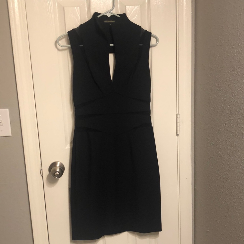 Catherine Malandrino Black Label Sexy Mesh Panel Open Back Dress
